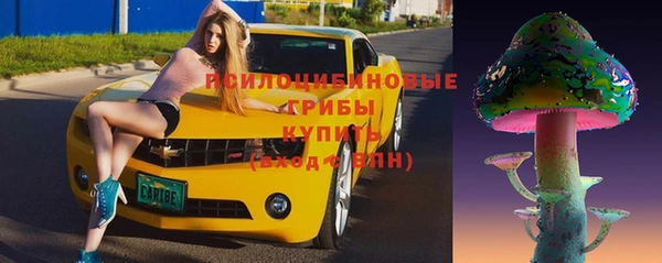 ПСИЛОЦИБИНОВЫЕ ГРИБЫ Алексин