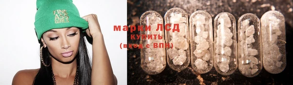 ПСИЛОЦИБИНОВЫЕ ГРИБЫ Алексин