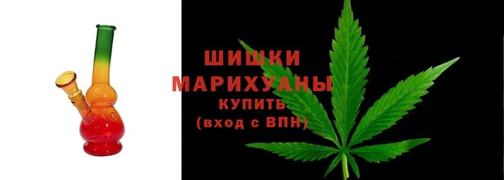 ПСИЛОЦИБИНОВЫЕ ГРИБЫ Алексин