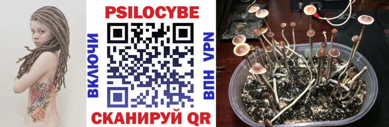 kraken маркетплейс  Ардон  Галлюциногенные грибы мицелий 